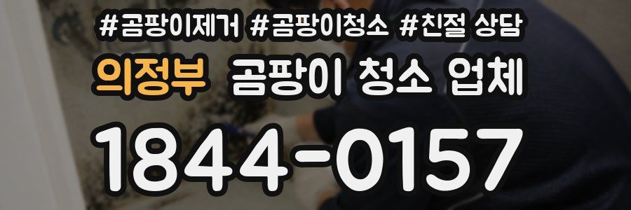 의정부 곰팡이 청소 업체