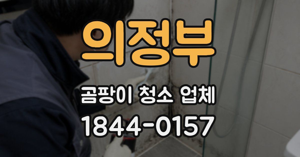 의정부 곰팡이 청소 업체