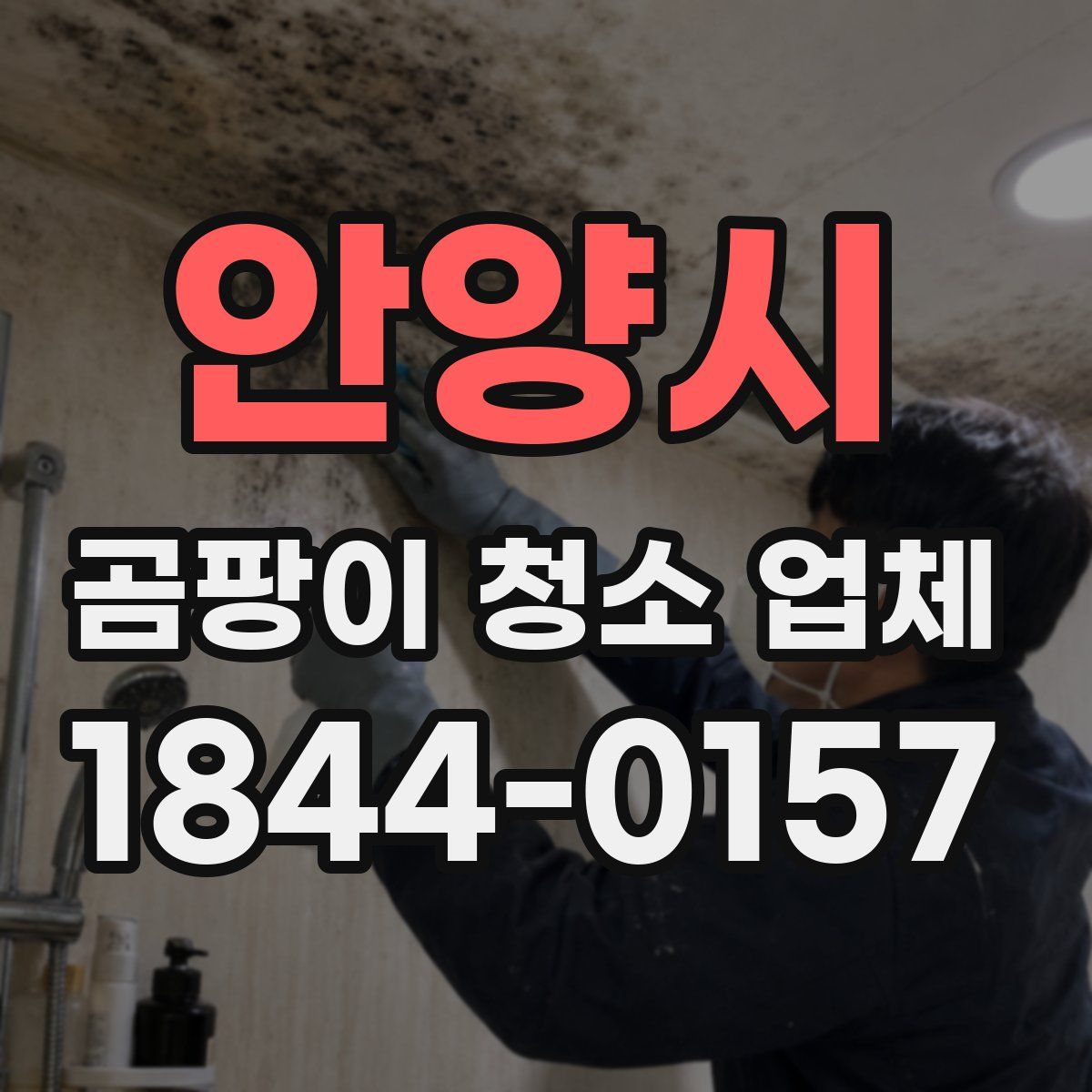 안양시 곰팡이 청소 업체