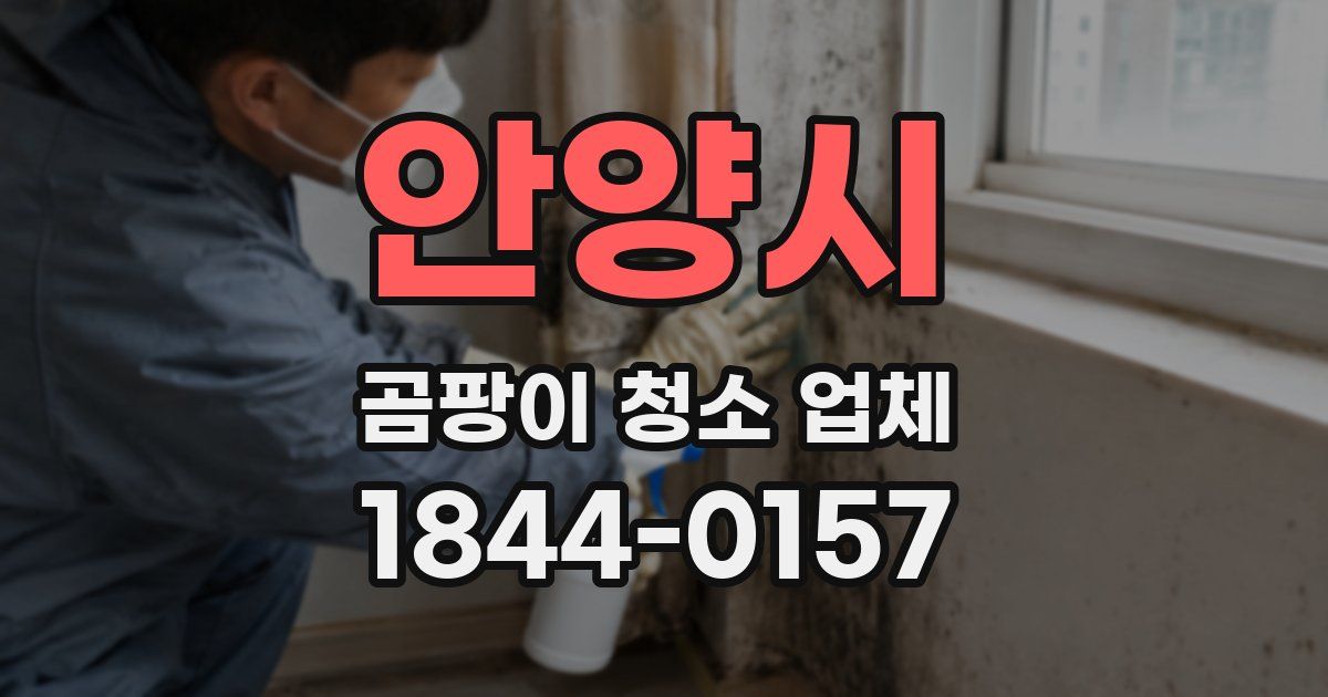 안양시 곰팡이 청소 업체