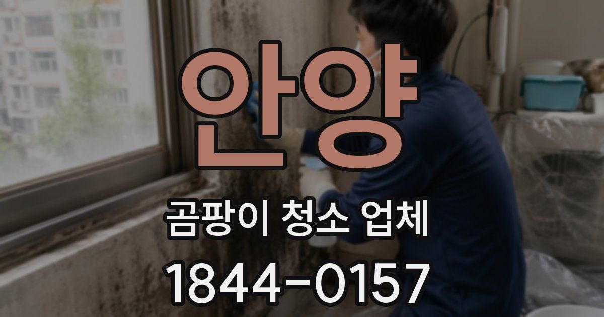 안양 곰팡이 청소 업체