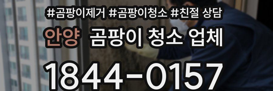 안양 곰팡이 청소 업체