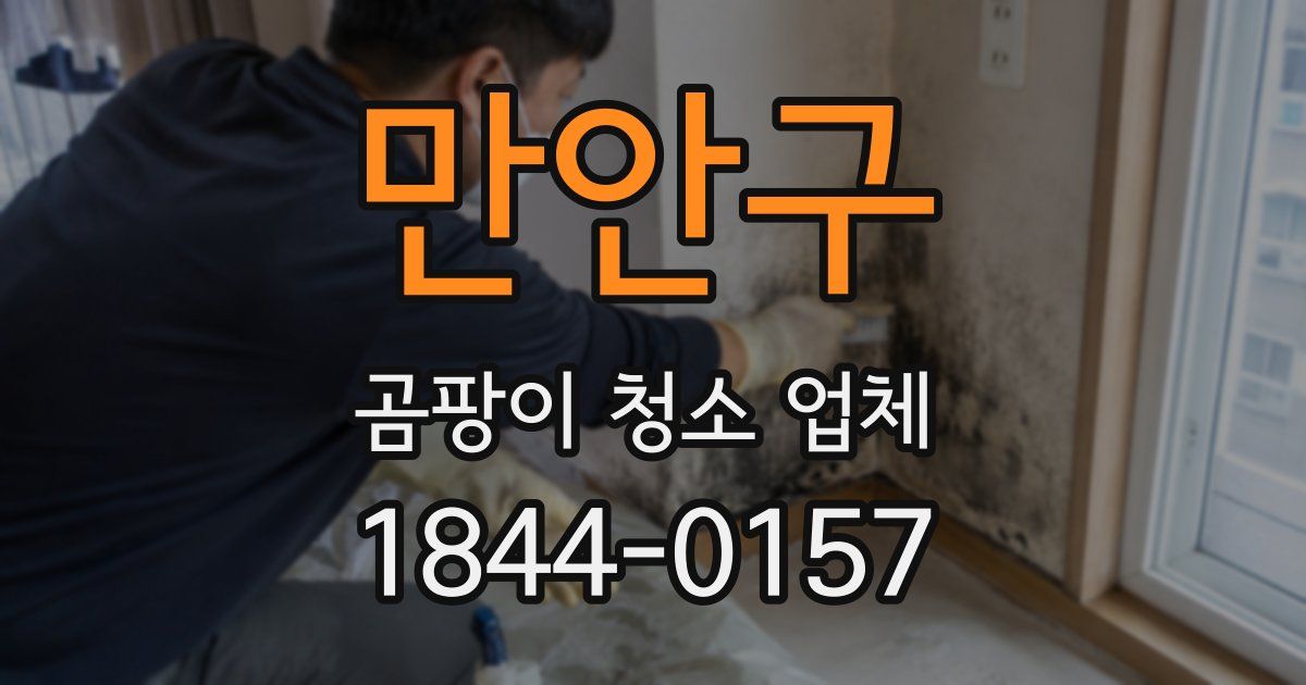 만안구 곰팡이 청소 업체