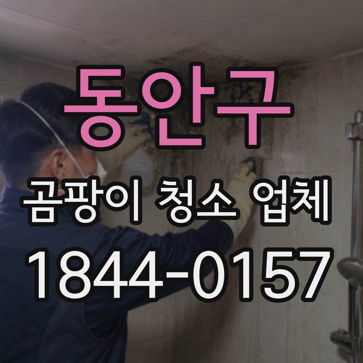 동안구 곰팡이 청소 업체