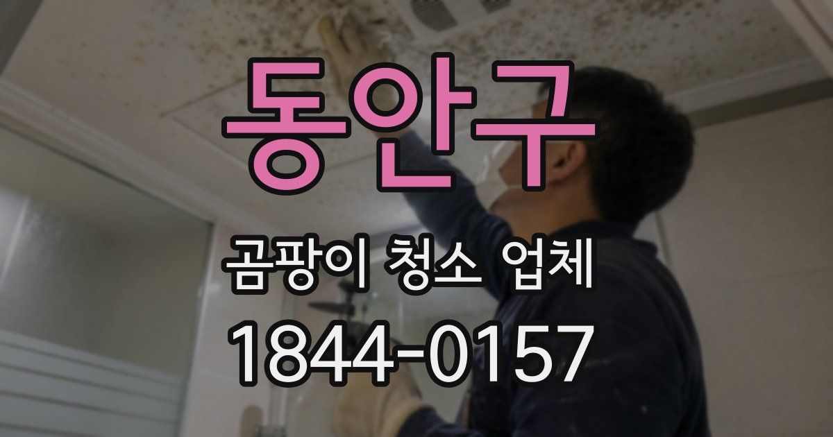동안구 곰팡이 청소 업체
