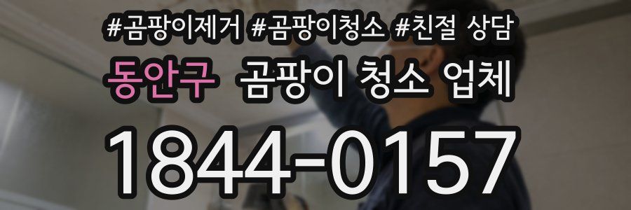 동안구 곰팡이 청소 업체
