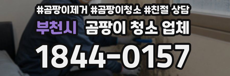 부천시 곰팡이 청소 업체