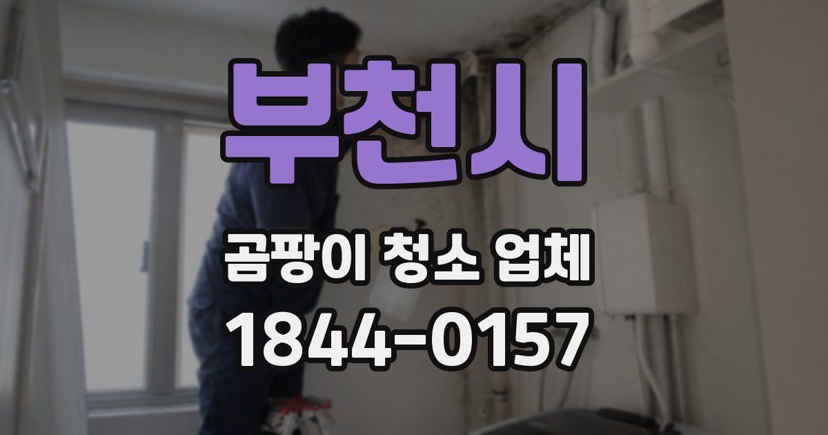 부천시 곰팡이 청소 업체