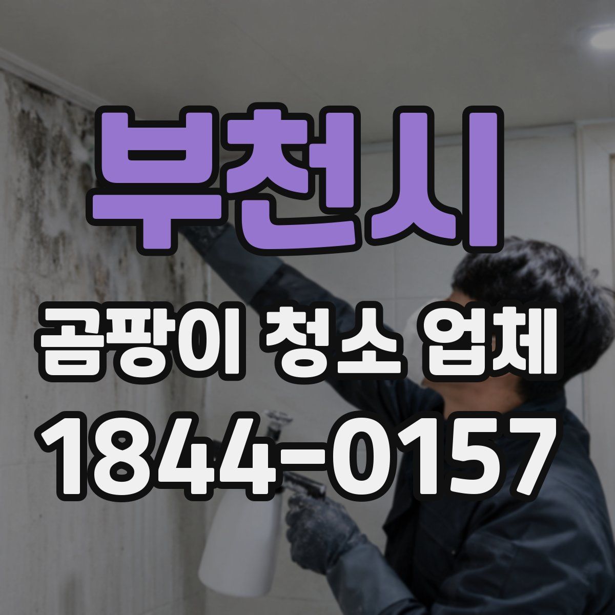 부천시 곰팡이 청소 업체