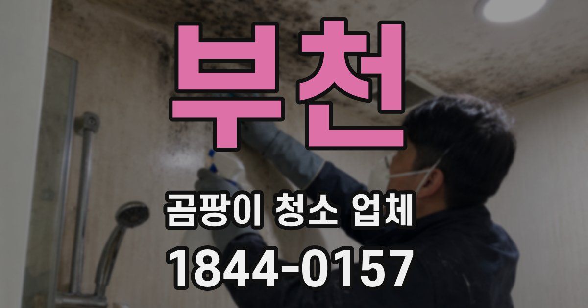 부천 곰팡이 청소 업체