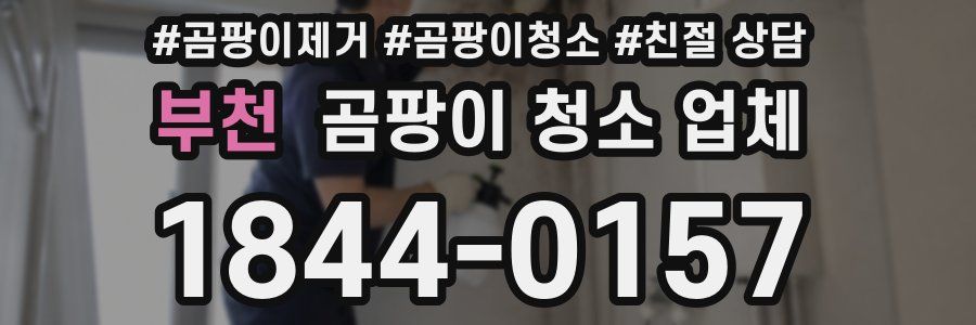 부천 곰팡이 청소 업체