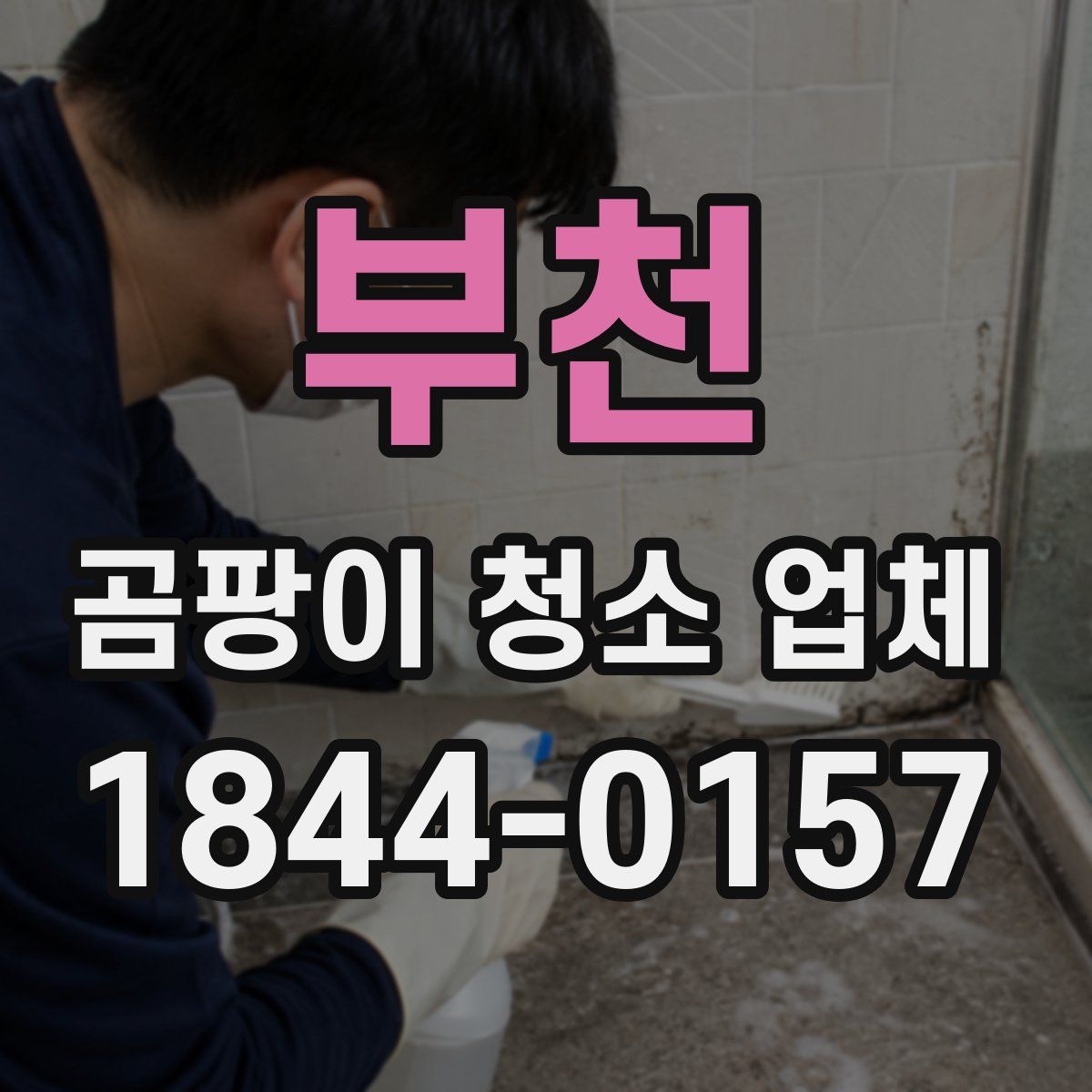 부천 곰팡이 청소 업체
