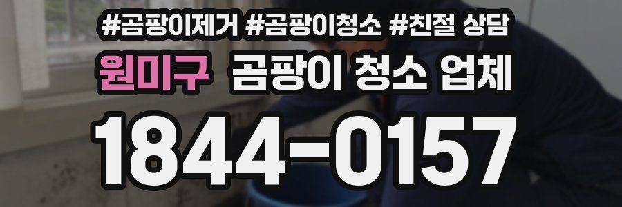 원미구 곰팡이 청소 업체