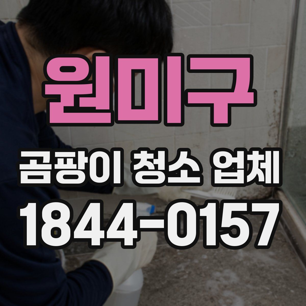 원미구 곰팡이 청소 업체