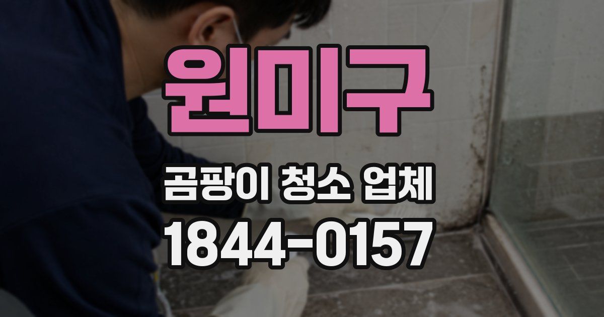 원미구 곰팡이 청소 업체