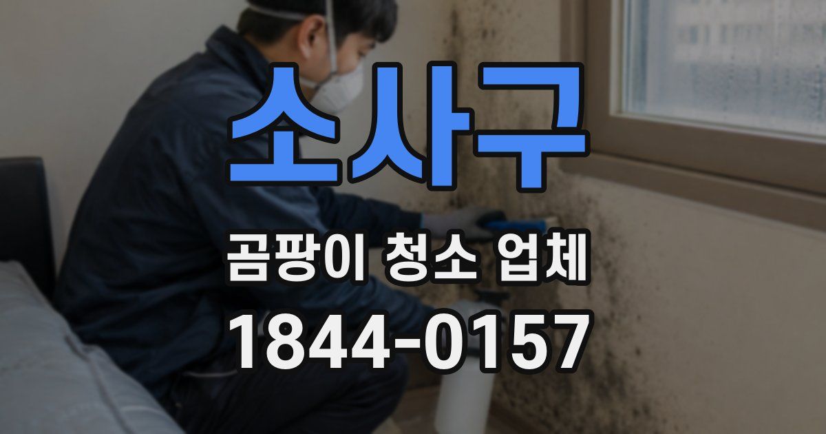 소사구 곰팡이 청소 업체