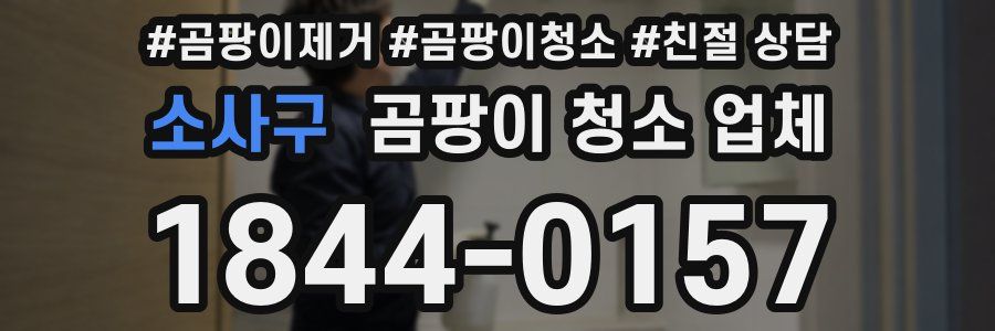소사구 곰팡이 청소 업체