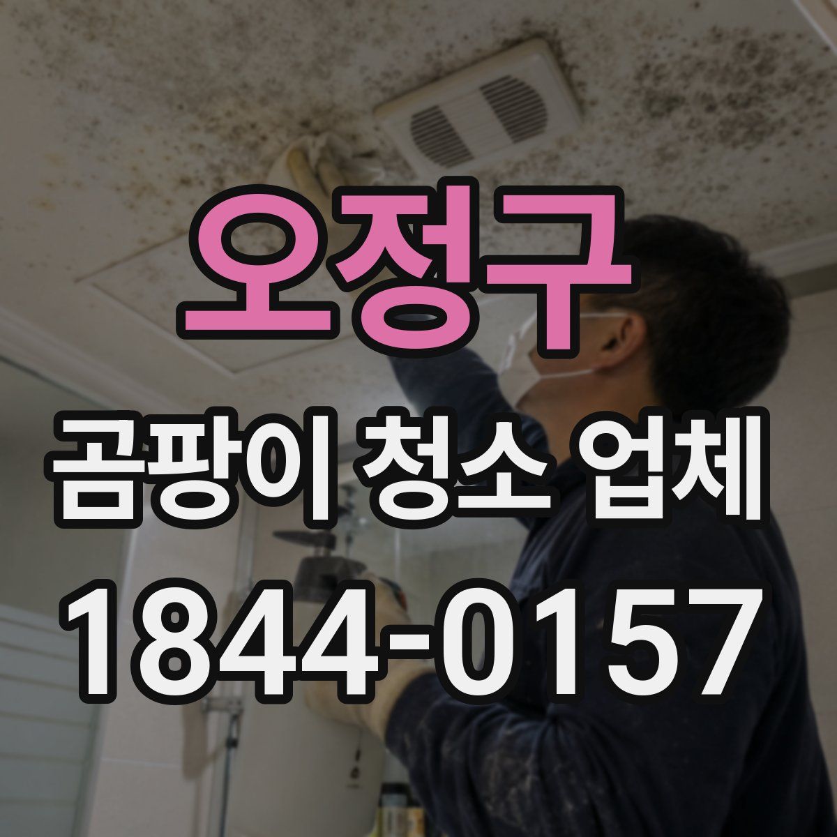 오정구 곰팡이 청소 업체