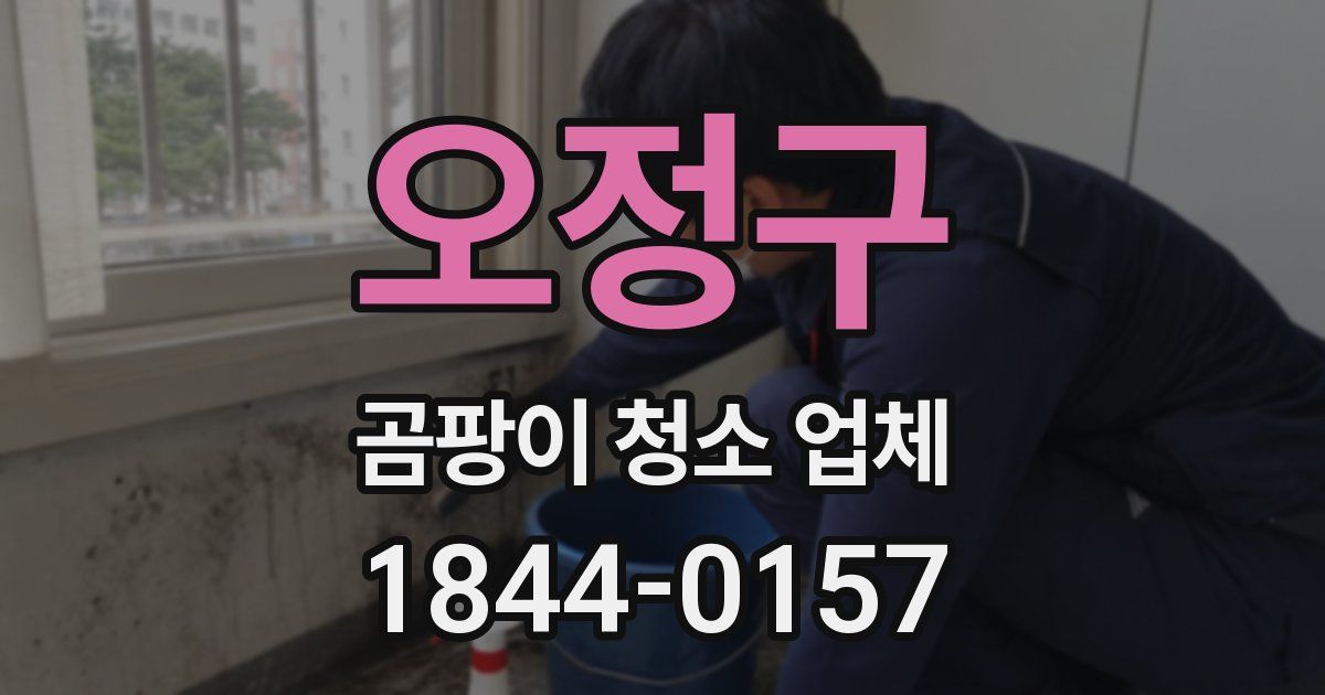 오정구 곰팡이 청소 업체