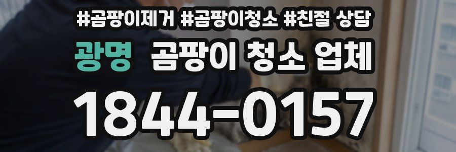 광명 곰팡이 청소 업체
