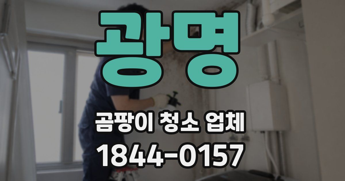 광명 곰팡이 청소 업체