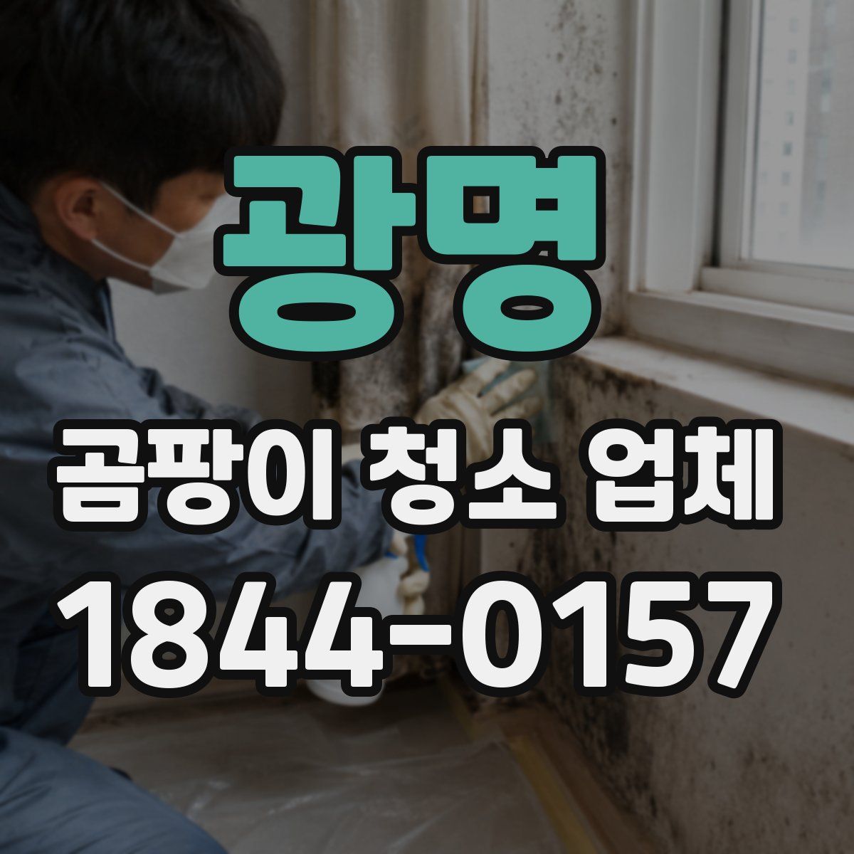 광명 곰팡이 청소 업체