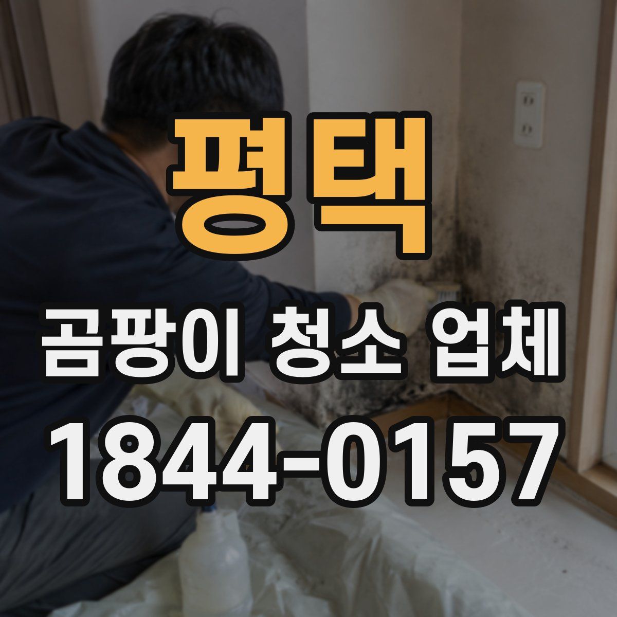 평택 곰팡이 청소 업체