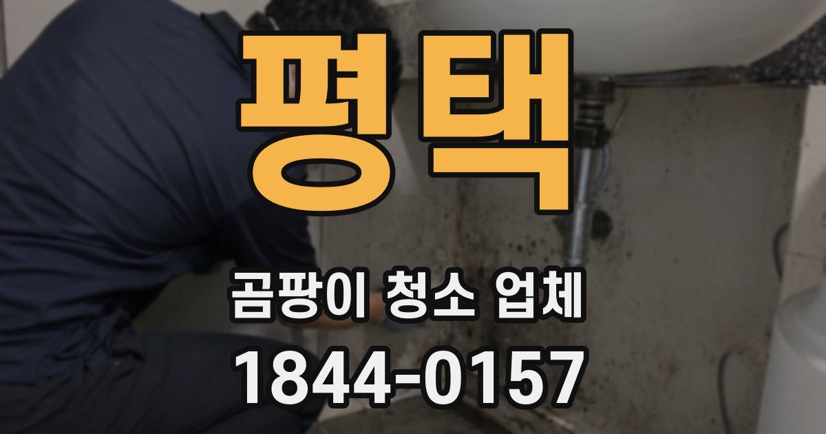 평택 곰팡이 청소 업체