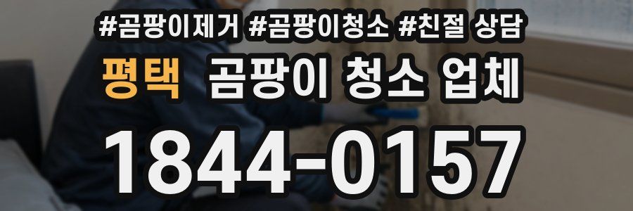 평택 곰팡이 청소 업체
