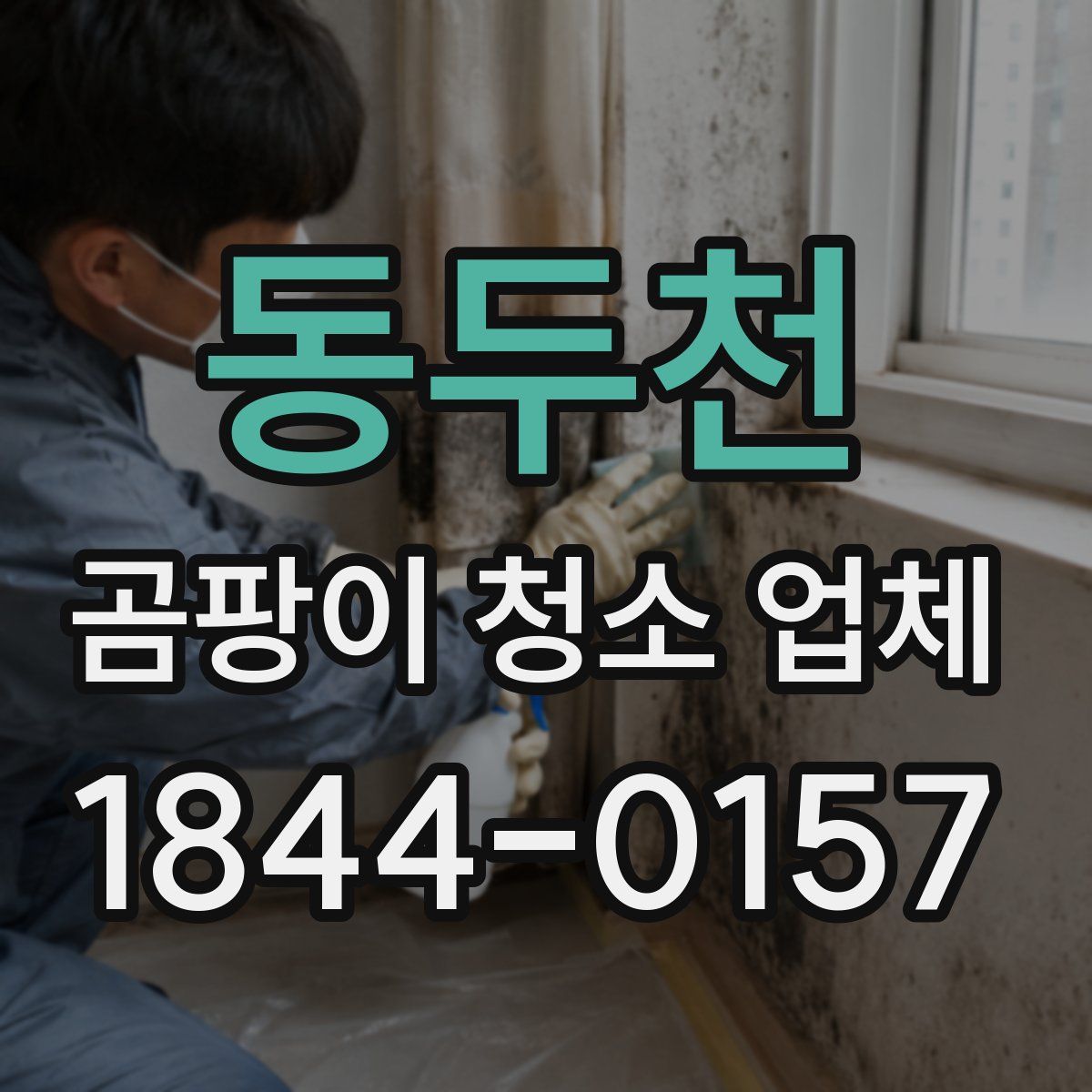 동두천 곰팡이 청소 업체