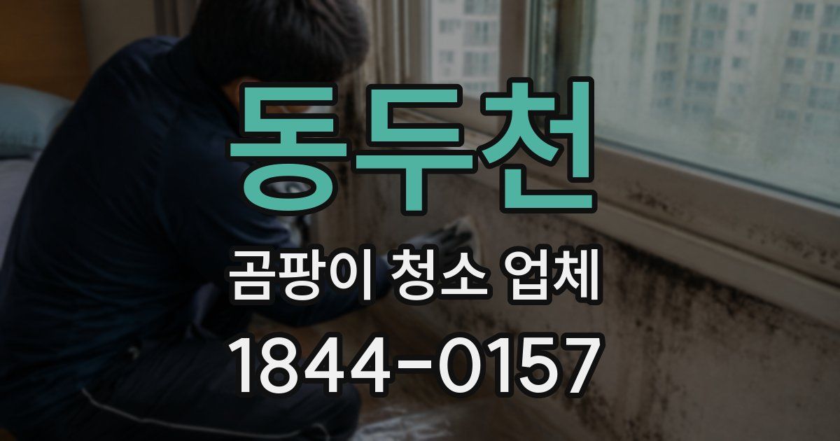 동두천 곰팡이 청소 업체
