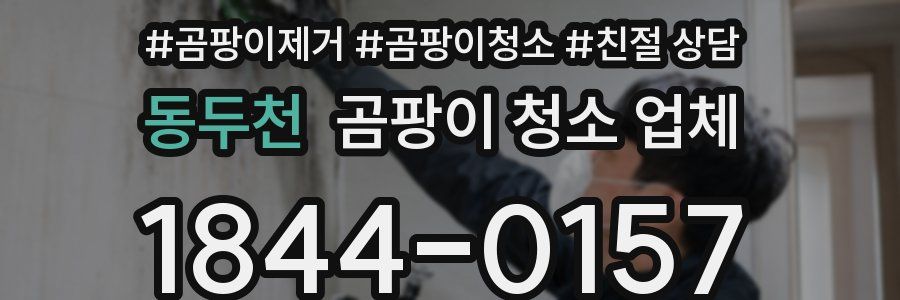 동두천 곰팡이 청소 업체