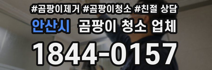 안산시 곰팡이 청소 업체