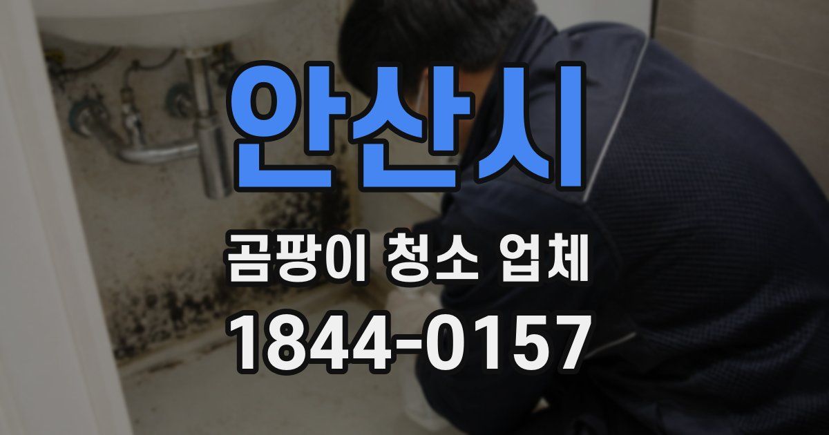 안산시 곰팡이 청소 업체