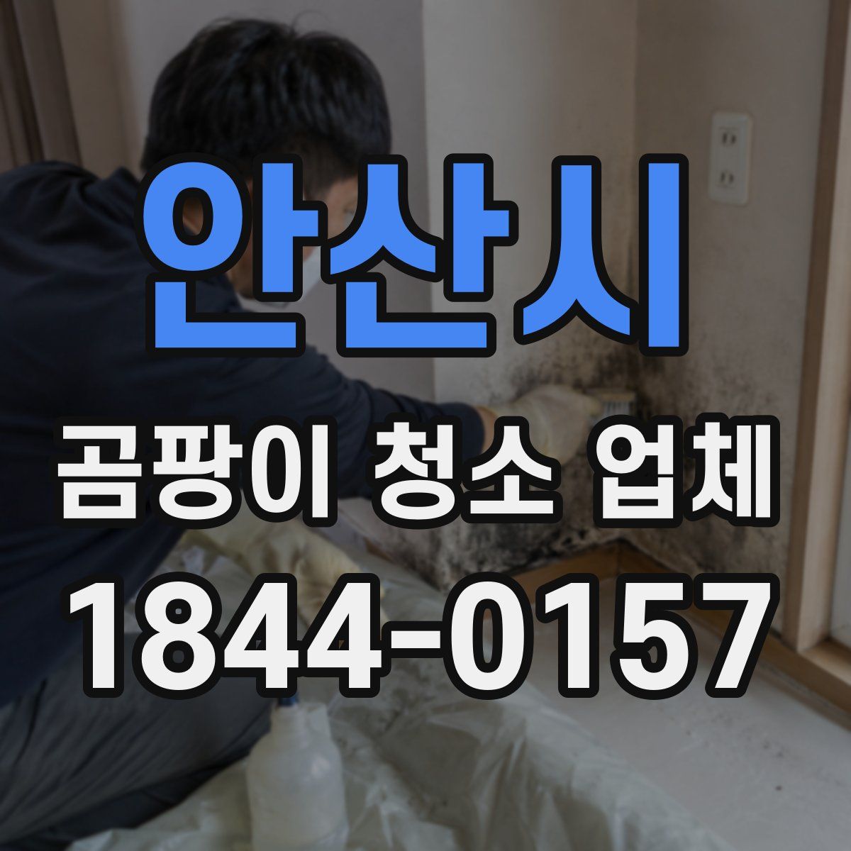 안산시 곰팡이 청소 업체