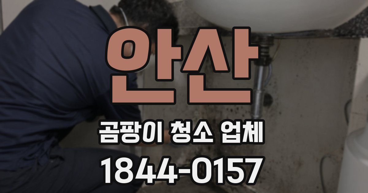안산 곰팡이 청소 업체