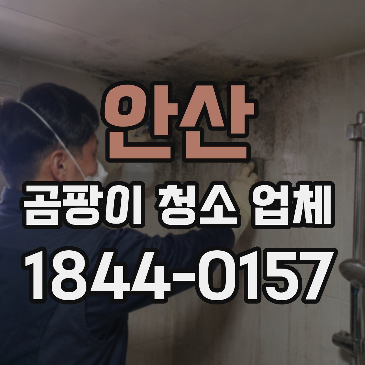 안산 곰팡이 청소 업체