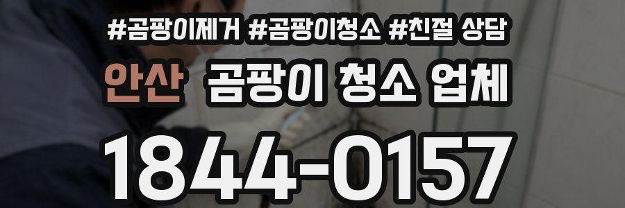안산 곰팡이 청소 업체