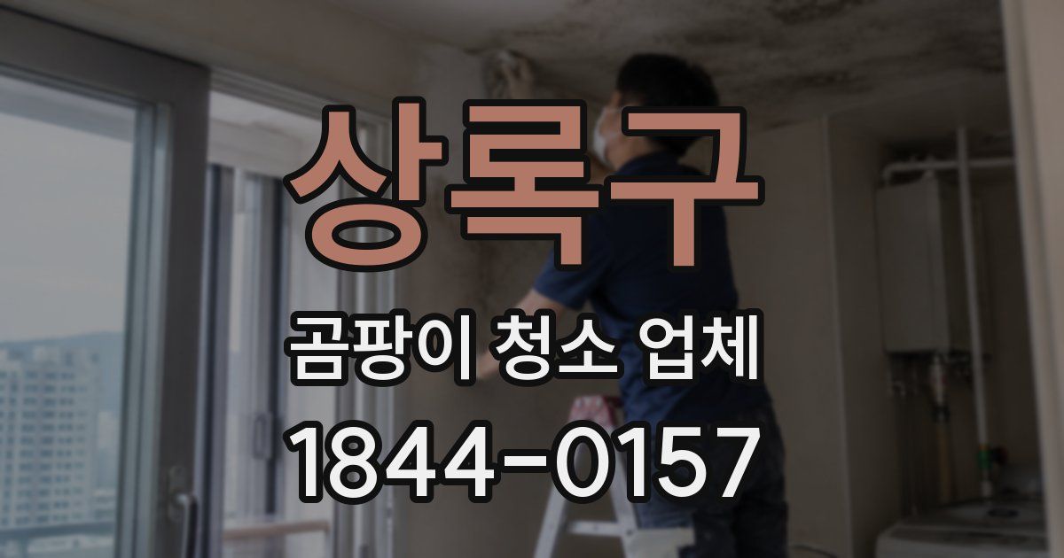 상록구 곰팡이 청소 업체