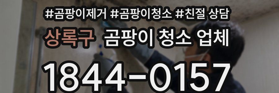 상록구 곰팡이 청소 업체