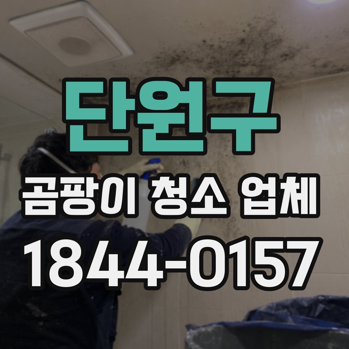 단원구 곰팡이 청소 업체