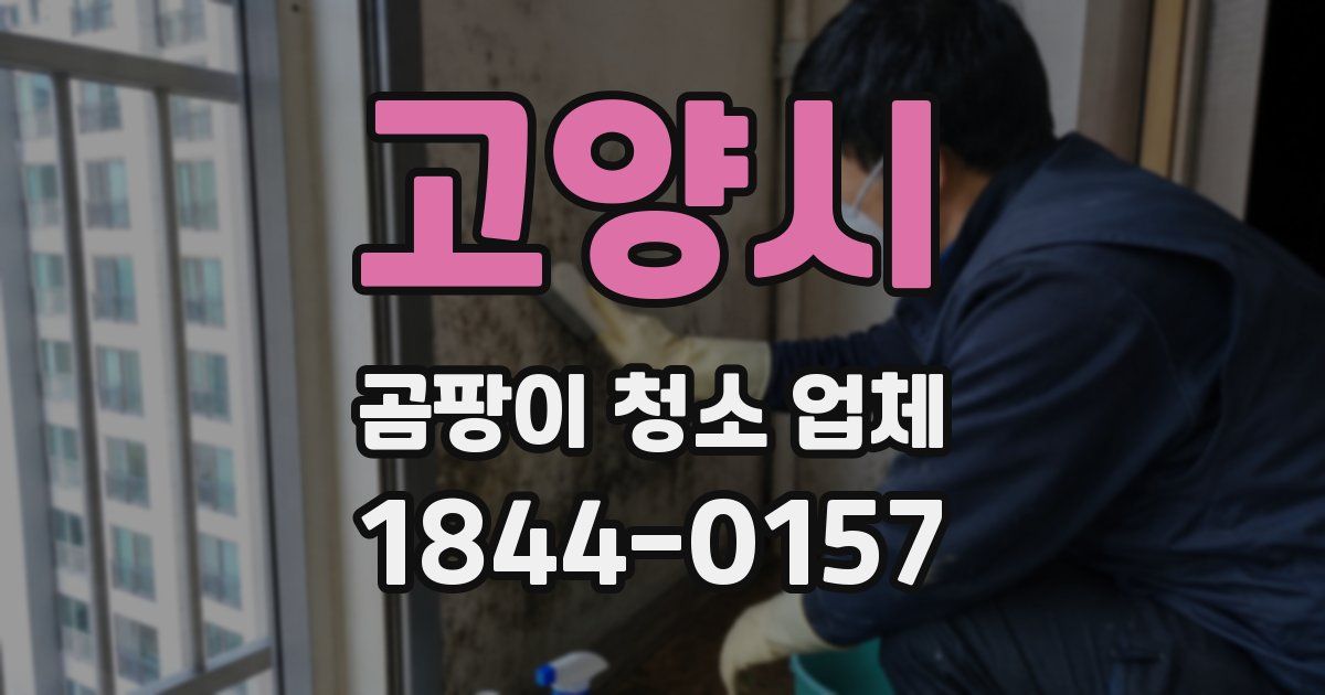 고양시 곰팡이 청소 업체