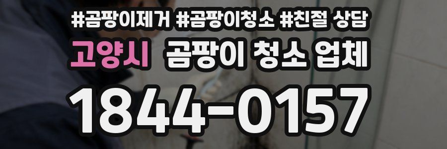 고양시 곰팡이 청소 업체