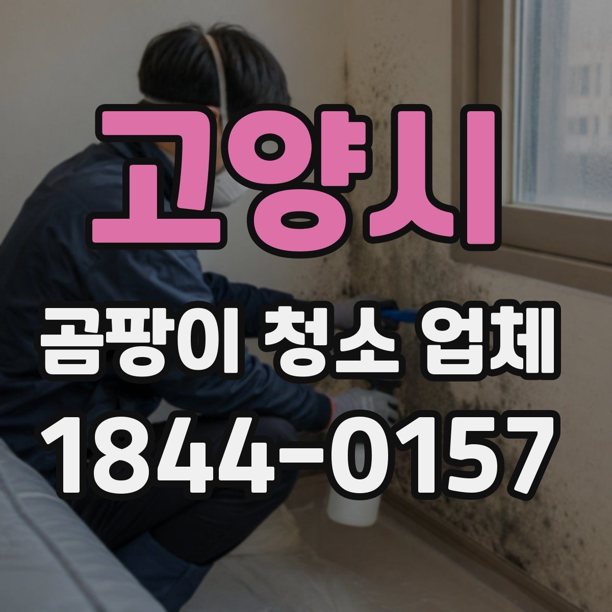 고양시 곰팡이 청소 업체