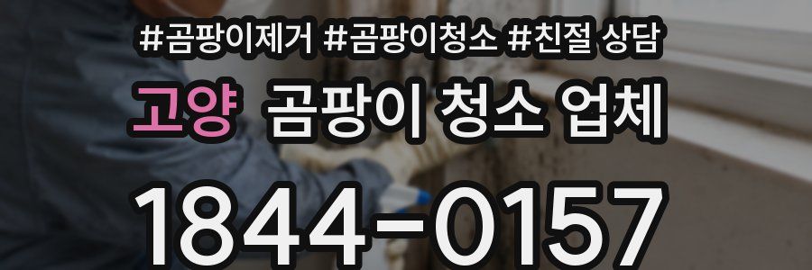 고양 곰팡이 청소 업체