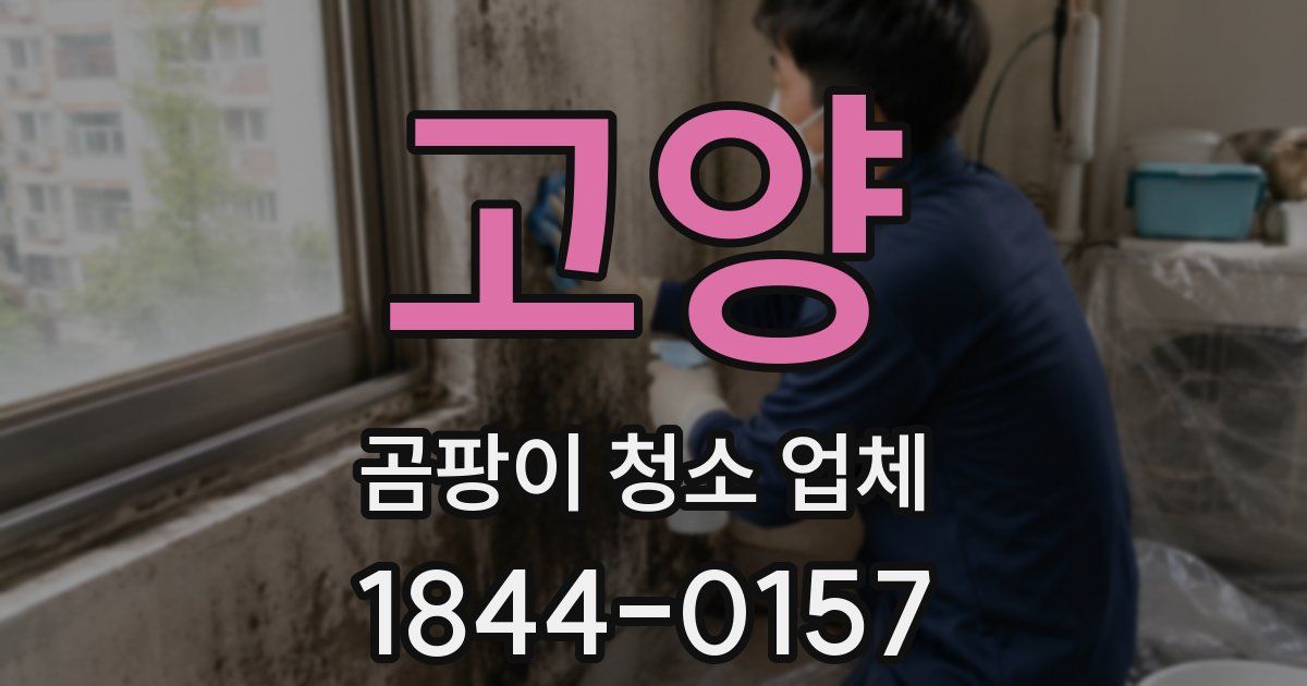 고양 곰팡이 청소 업체