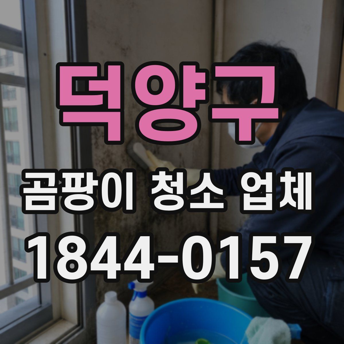 덕양구 곰팡이 청소 업체