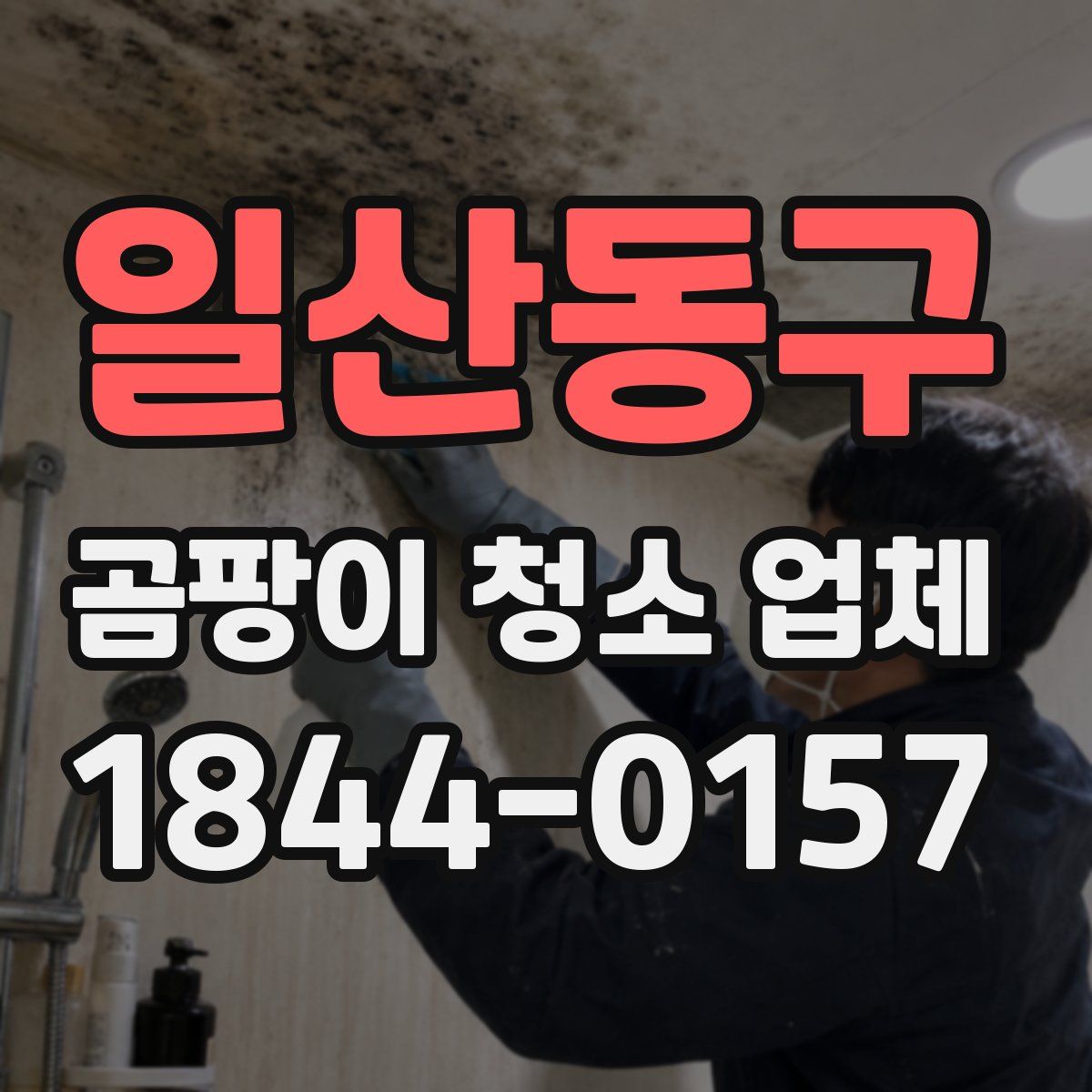 일산동구 곰팡이 청소 업체