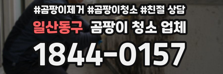 일산동구 곰팡이 청소 업체