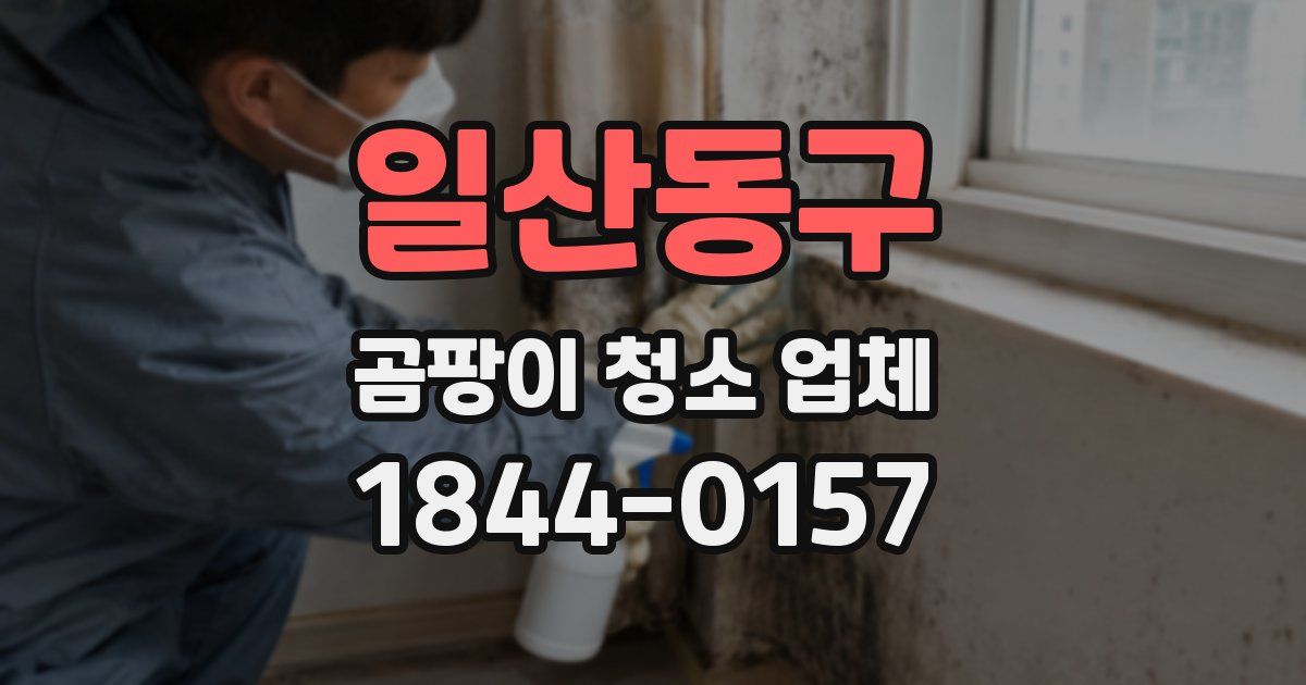일산동구 곰팡이 청소 업체
